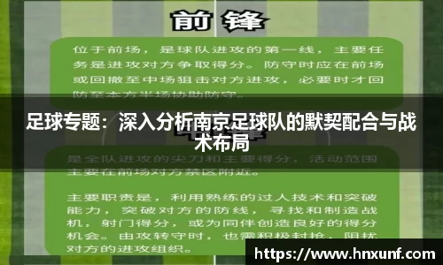 足球专题：深入分析南京足球队的默契配合与战术布局