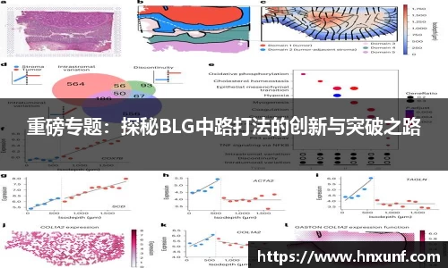 重磅专题：探秘BLG中路打法的创新与突破之路