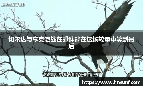 切尔达与亨克激战在即谁能在这场较量中笑到最后